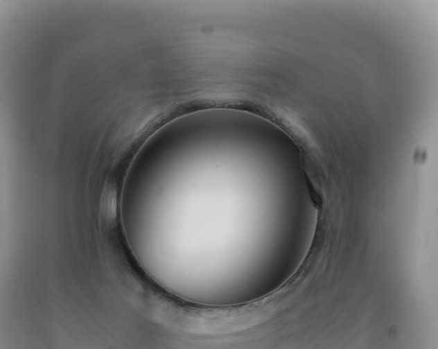 X0000092100021200709191316