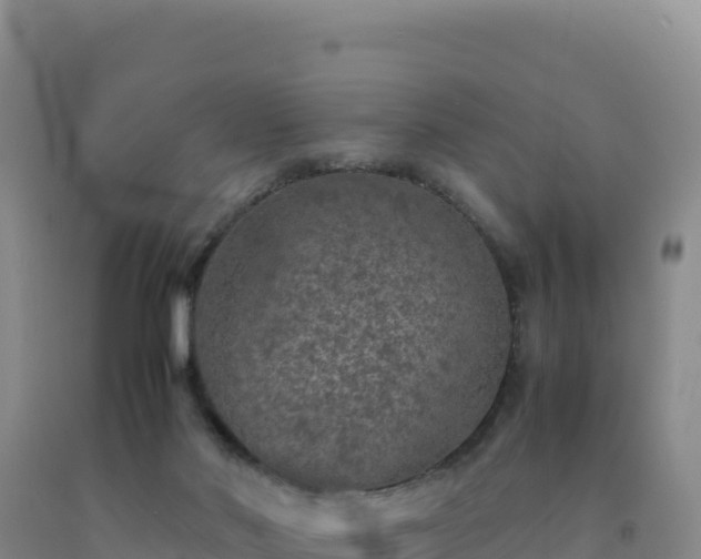 X0000092100022200709191316