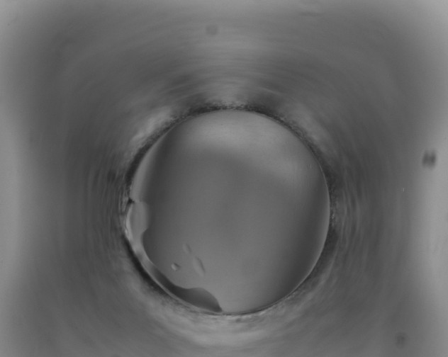 X0000092100023200709191316