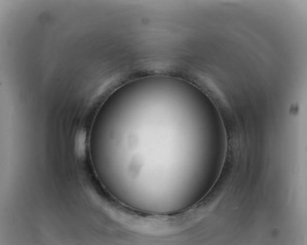 X0000092100024200709191316