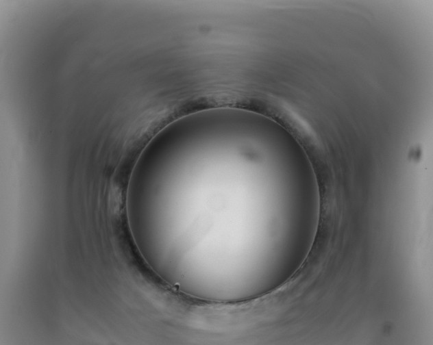 X0000092100025200709191316