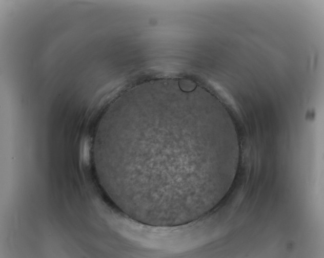 X0000092100026200709191316