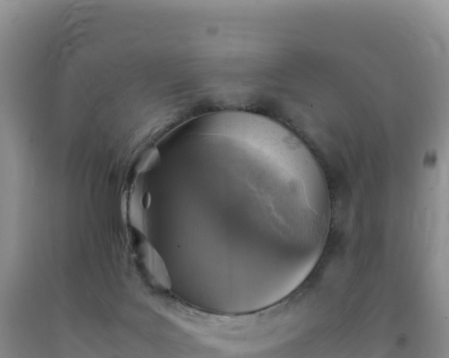 X0000092100027200709191316