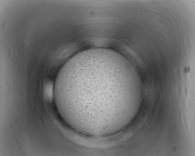 X0000092100028200709191316