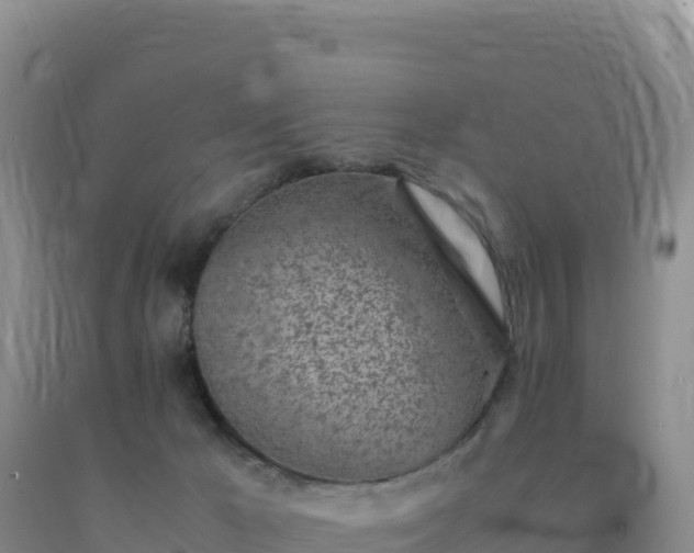 X0000092100029200709191316