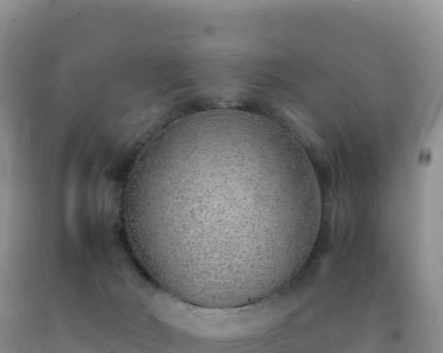 X0000092100030200709191316