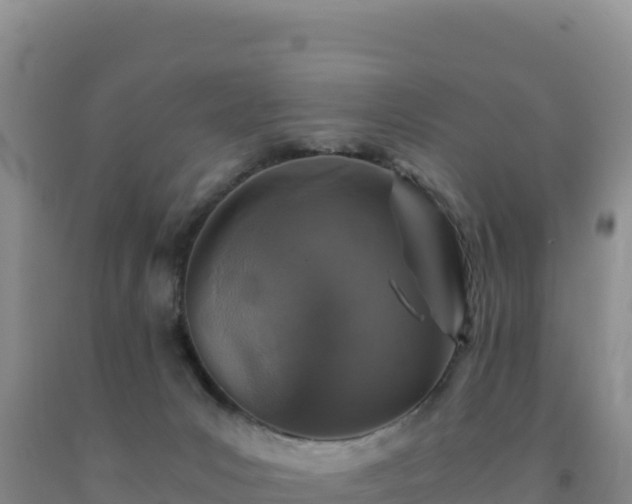 X0000092100031200709191316