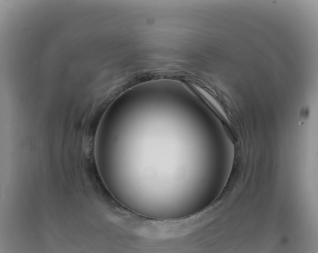 X0000092100033200709191316