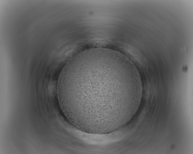 X0000092100034200709191316