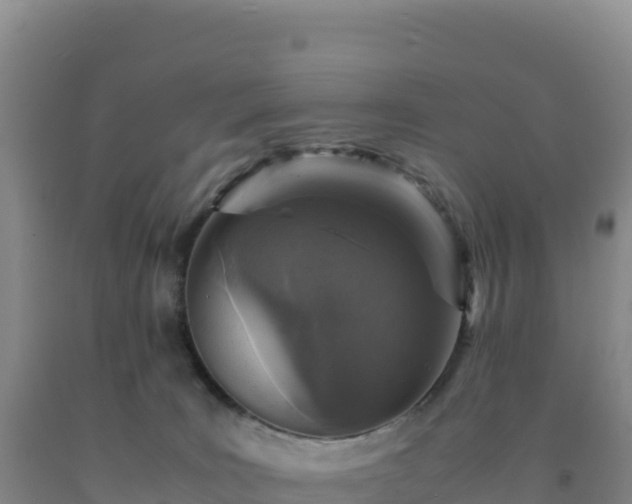 X0000092100035200709191316