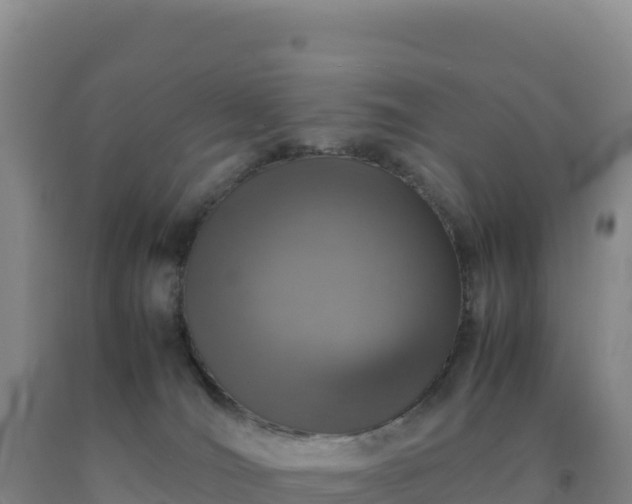 X0000092100036200709191316