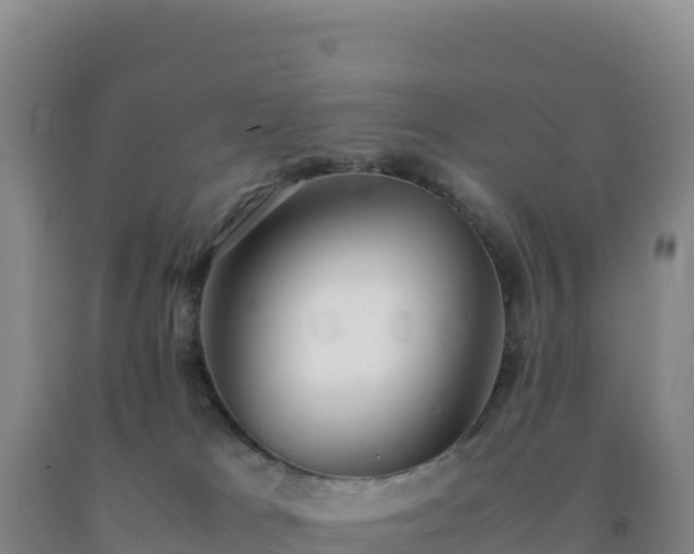 X0000092100037200709191316