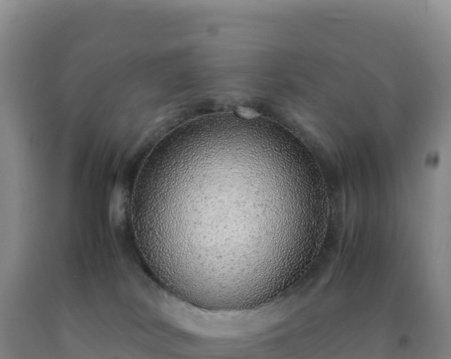 X0000092100038200709191316