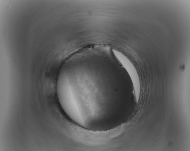 X0000092100039200709191316