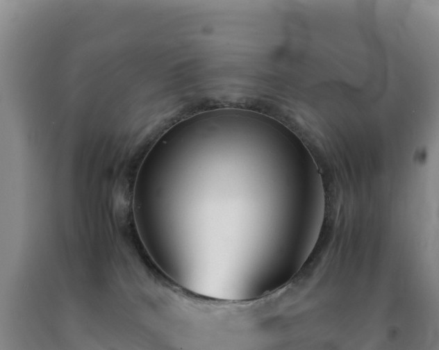 X0000092100040200709191316