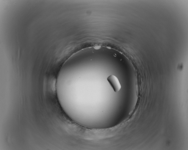 X0000092100041200709191316