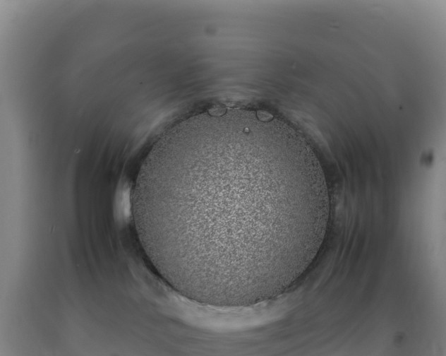 X0000092100042200709191316