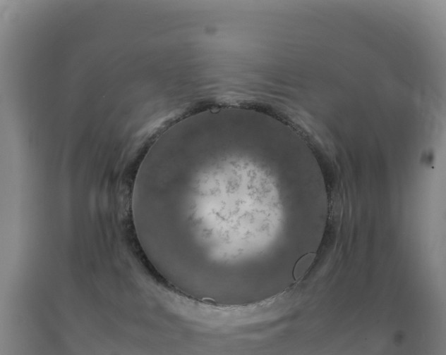 X0000092100043200709191316