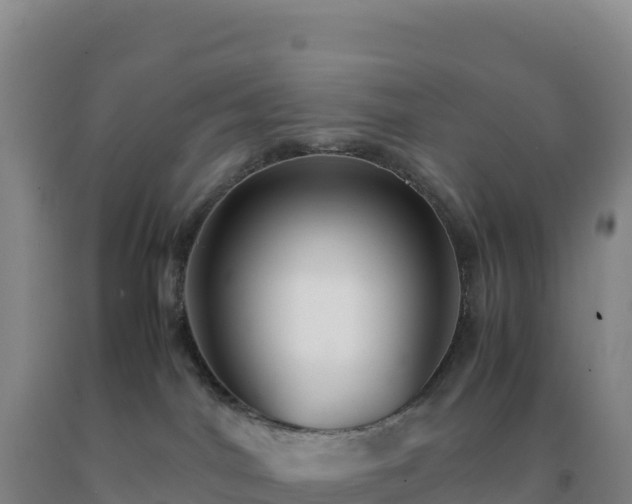 X0000092100044200709191316