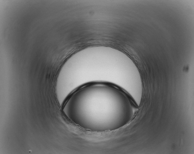 X0000092100045200709191316