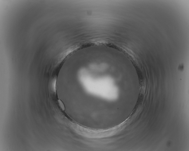 X0000092100047200709191316