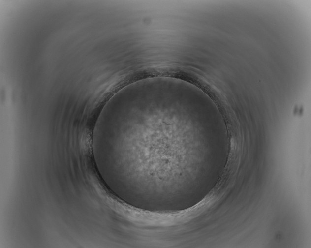 X0000092100048200709191316