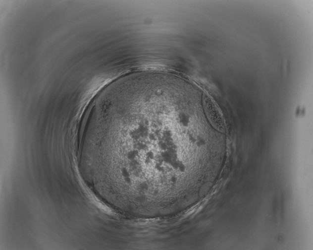 X0000092100049200709191315