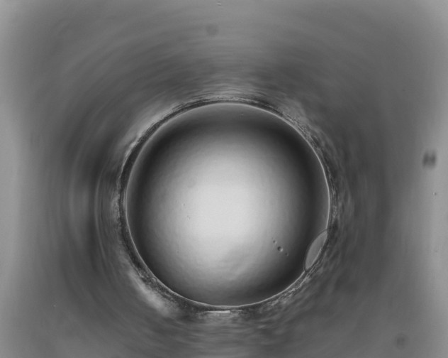 X0000092100050200709191315