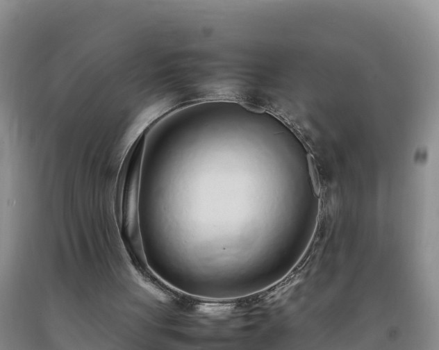 X0000092100051200709191315