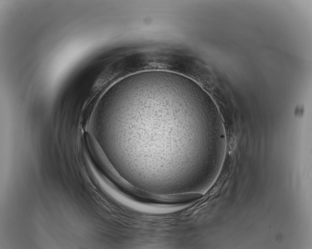 X0000092100052200709191315