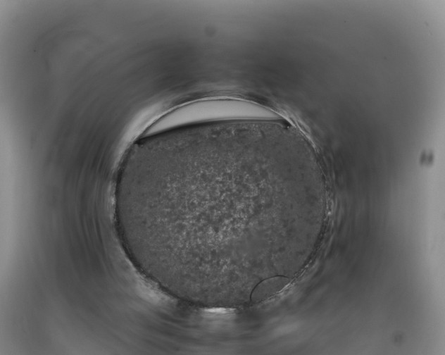 X0000092100053200709191315