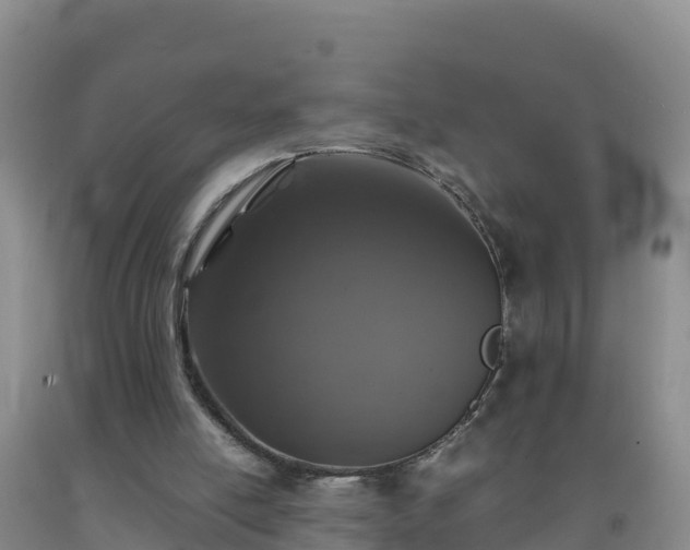 X0000092100054200709191315