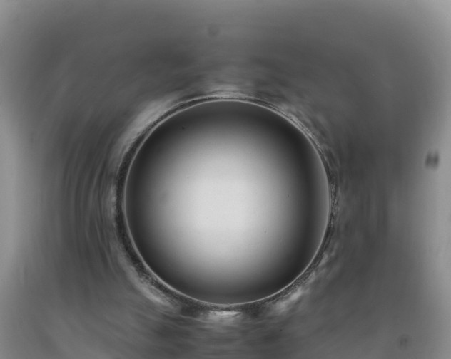 X0000092100055200709191315