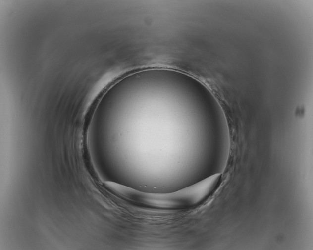 X0000092100056200709191315