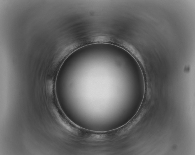 X0000092100057200709191315