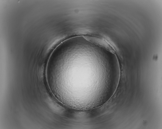 X0000092100058200709191315