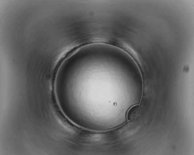 X0000092100059200709191315