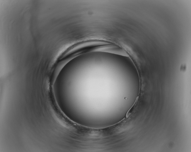 X0000092100060200709191315