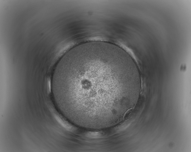 X0000092100061200709191315