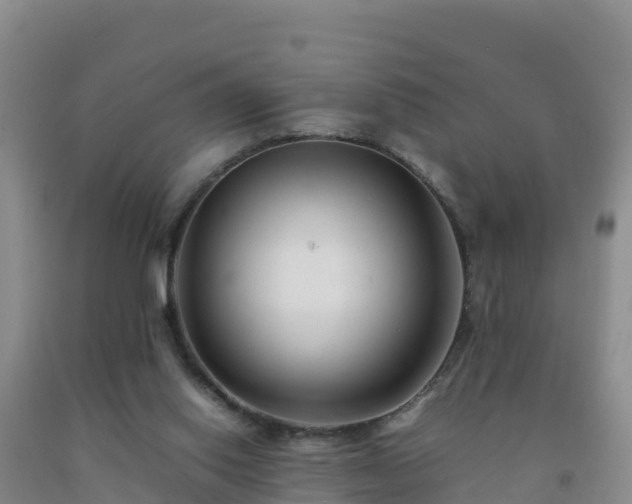 X0000092100062200709191315