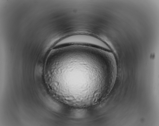 X0000092100063200709191315