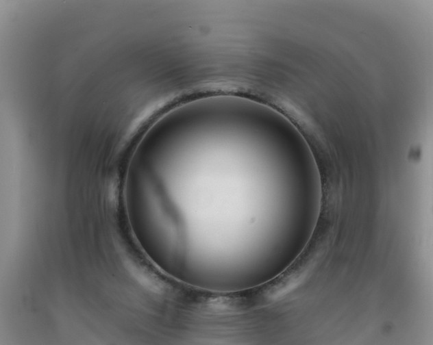 X0000092100064200709191315