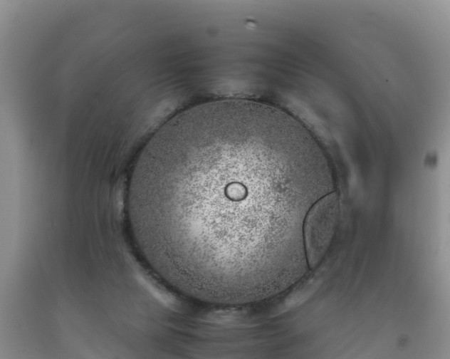 X0000092100065200709191315