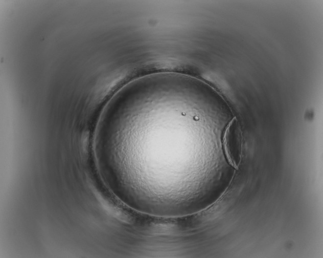 X0000092100066200709191315