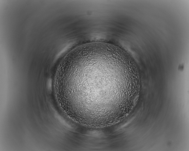 X0000092100067200709191315