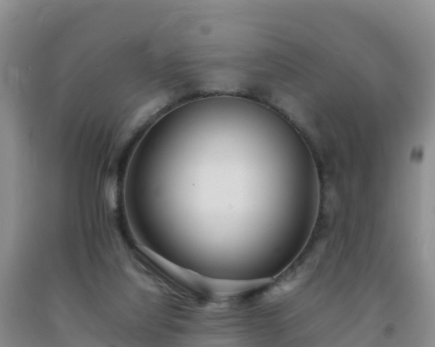 X0000092100068200709191315