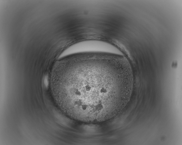 X0000092100069200709191315