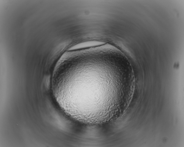 X0000092100070200709191315