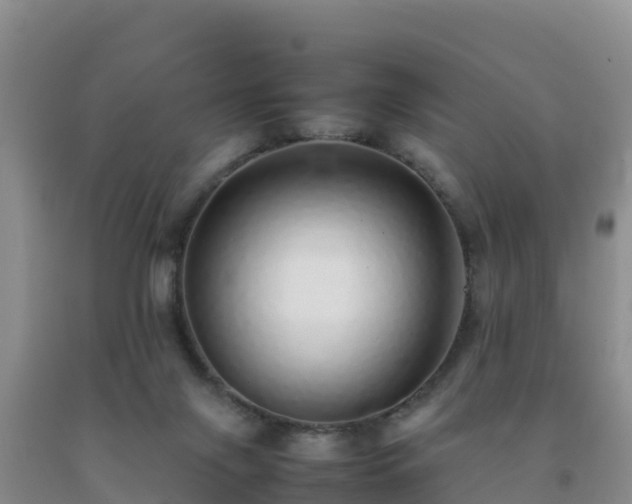 X0000092100071200709191316