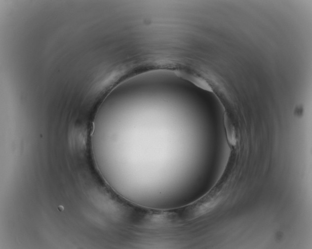 X0000092100072200709191316